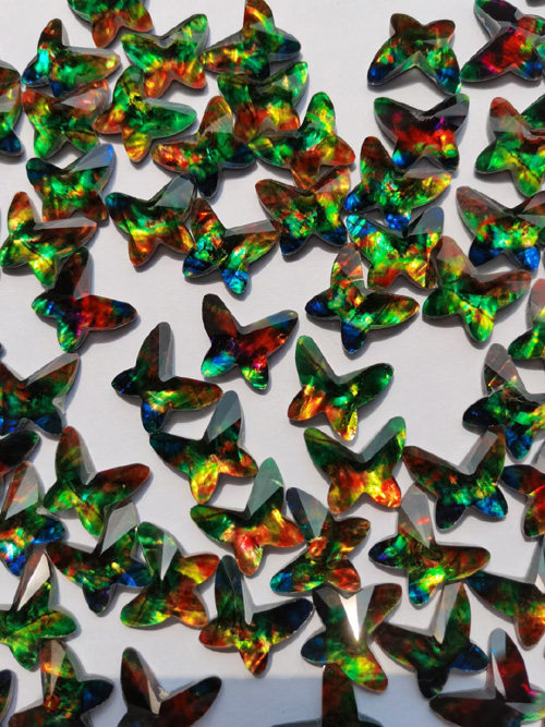 Ammolite buttlefly